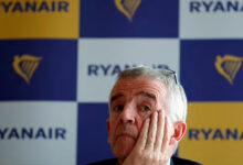 O'Leary (pictured) has been a long-standing critic of Brexit and campaigned for the 'remain' vote during the 2016 referendum