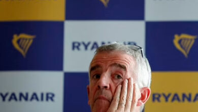 O'Leary (pictured) has been a long-standing critic of Brexit and campaigned for the 'remain' vote during the 2016 referendum