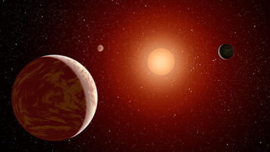 Huge plantes surrounding small stars