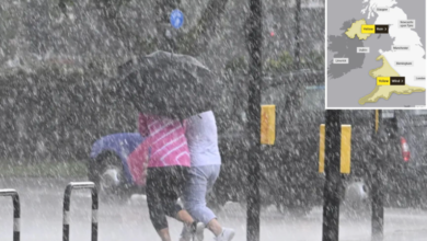 UK Weather