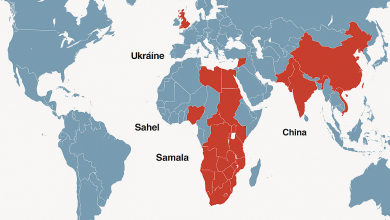 War Developments Around the World – Week of July 13–19, 2025