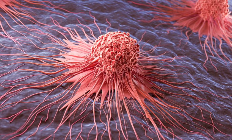 Molecule Discovered To Fuel Skin Cancer and Outsmart the Immune System