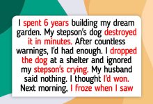 12 Moments That Teach Us Kindness Still Wins in the End