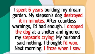 12 Moments That Teach Us Kindness Still Wins in the End