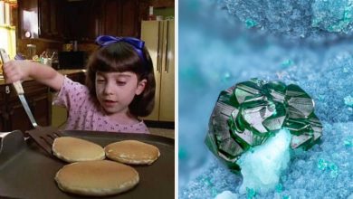 Eat Breakfast Foods Until You’re Stuffed And We’ll Reveal Which Rare Gemstone Matches Your Personality