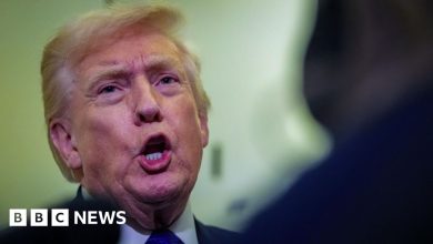 Trump removes video with racist clip depicting Obamas as apes