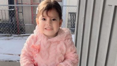 Elvis Tipan Echeverria: 2-year-old taken into ICE custody with father in Minnesota and flown to Texas, lawyer says