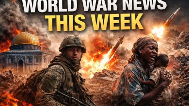 World War News