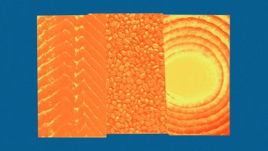 Restaurants Are Suffering From the Cost of Ingredients, Inflation, and Tariffs