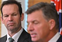 Grattan on Friday: Taylor and Canavan are chalk and cheese – and that’s a problem for Taylor