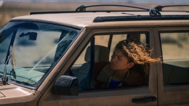Euphoria Season 3: What happened to everyone during the time jump?