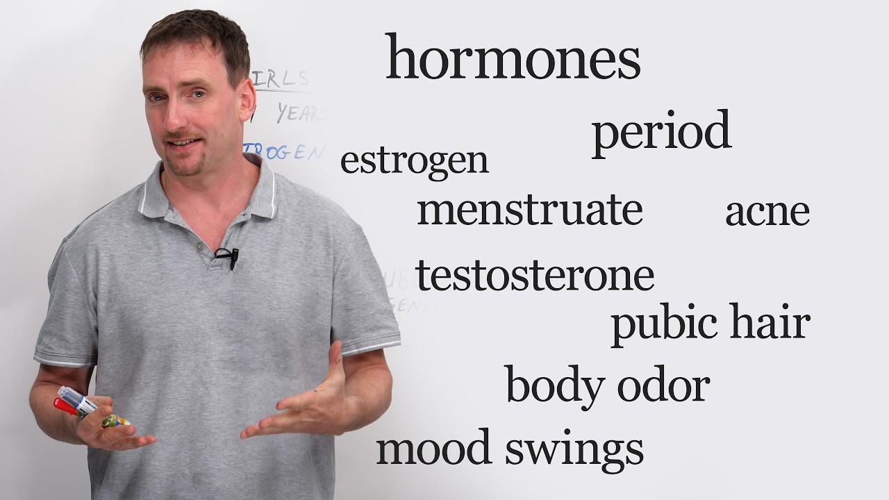 English Vocabulary for Puberty & Body Changes