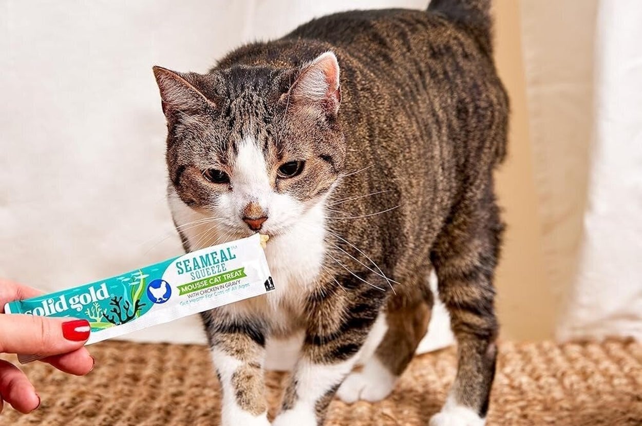 My Picky Cats Are Obsessed With These Squeezable Treats — A Vet Explains The Hype