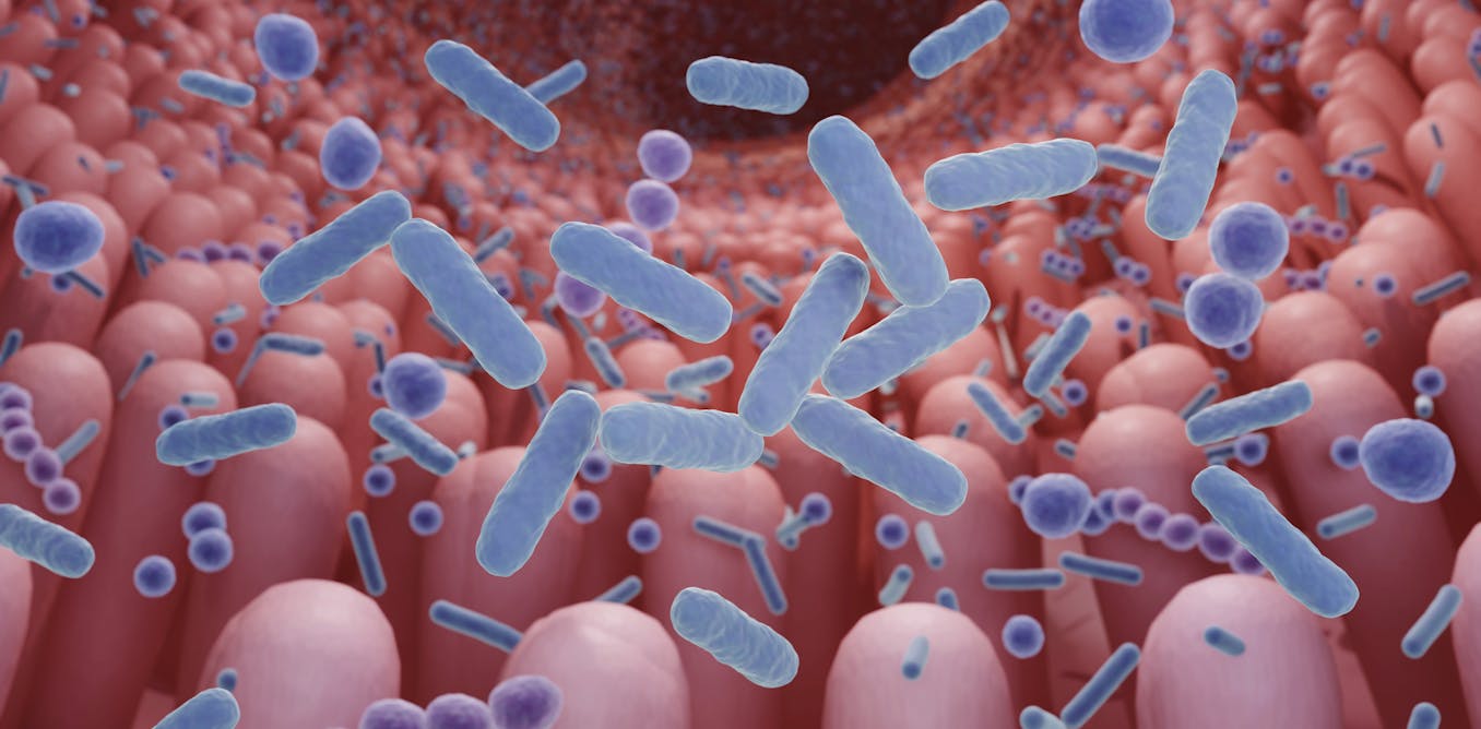 Gut health: why food alone won’t fix childhood stunting