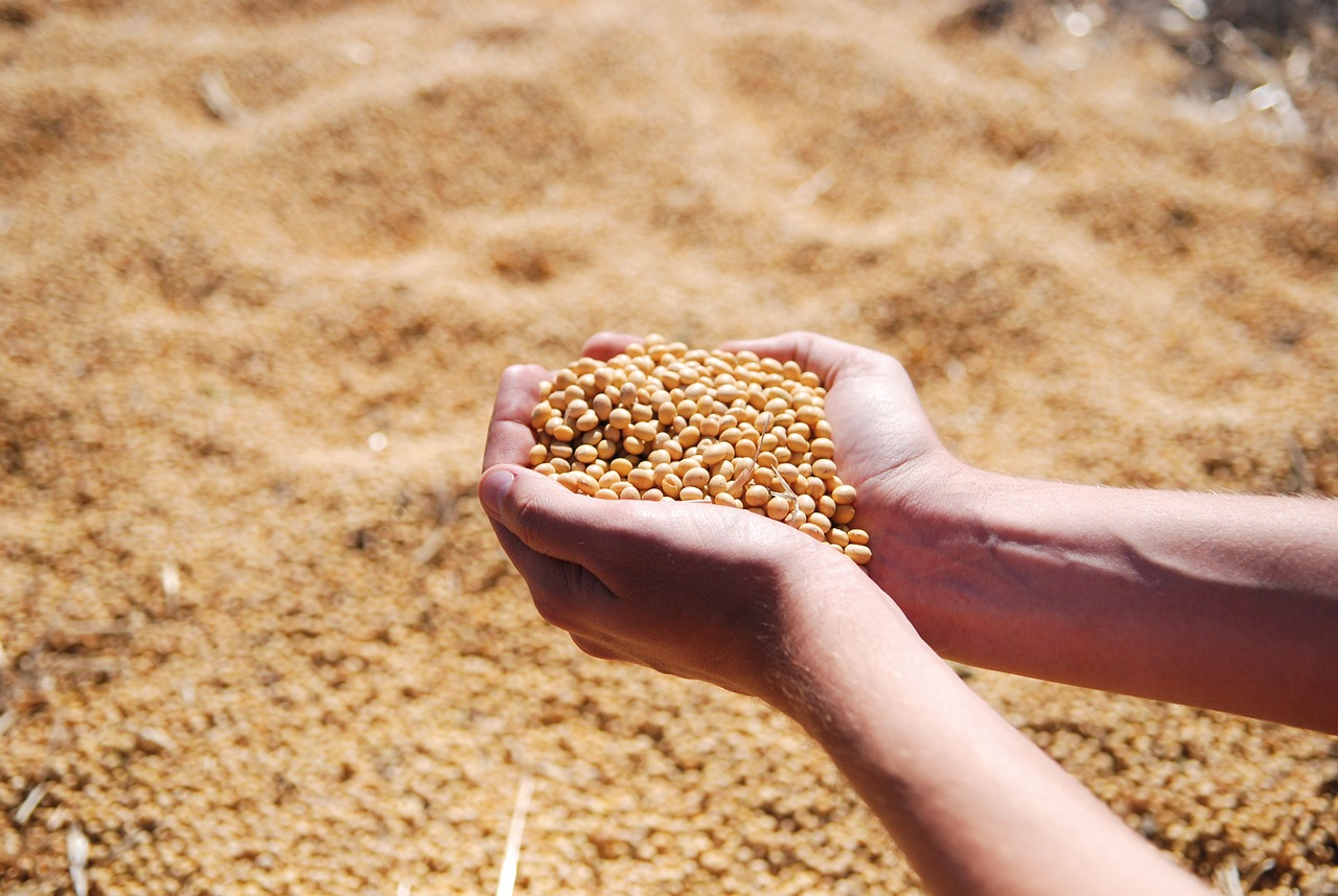 Soybeans Rounds Out the Week with Strength