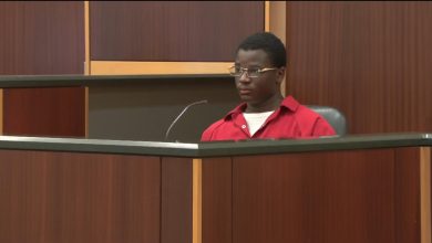 ‘You’re trying to say I did it’: Reluctant co-defendant testifies against Thomas Stein
