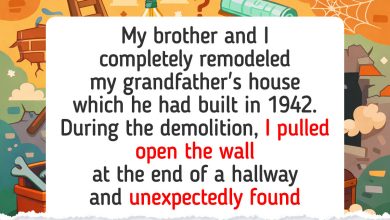 15 Renovation Moments That Prove Home Projects Become Stories Worth Keeping