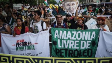 Fossil fuel transition summit seeks progress beyond stalled COP talks