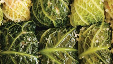 This New Cookbook by the Founder of Ghia Will Transport You Straight to a Mediterranean Summer