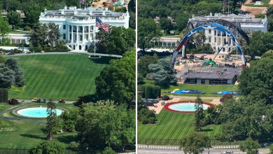 How the White House Lawn Will Be Restored After UFC Event