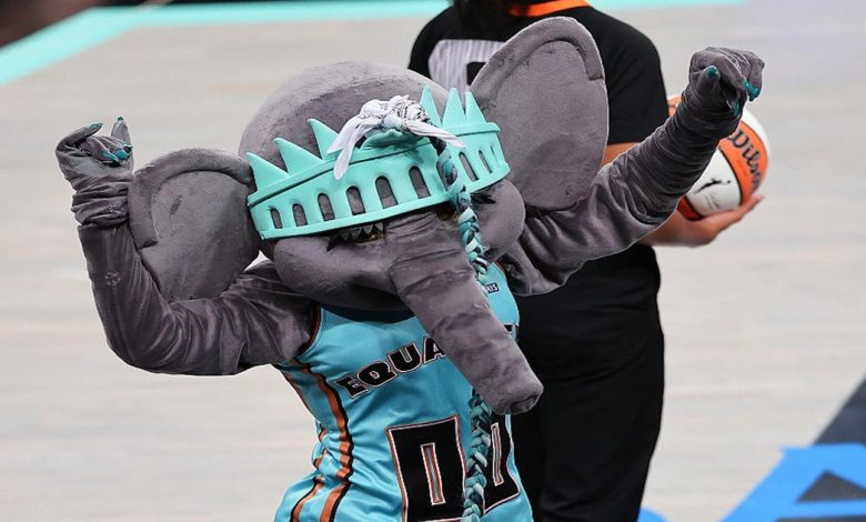 The Uplift: Ellie the elephant
