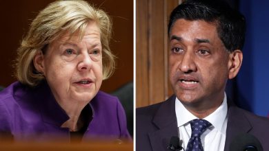 Baldwin, Khanna propose new direct foreign investment review board to probe Trump’s deals