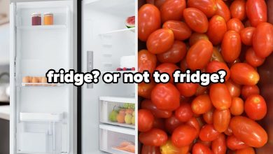 An Electronics Brand Just Dropped Their Definitive “To Fridge Or Not To Fridge Guide” And I Need To Know Your Thoughts Immediately