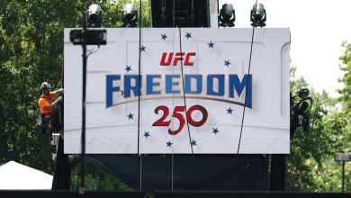 Who is and isn’t attending UFC fight at white house: what we know