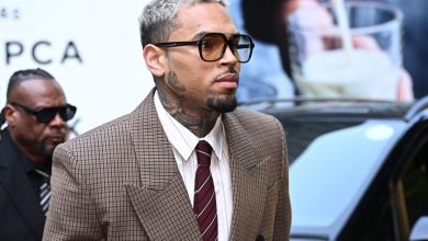 Chris Brown Testifies in Housekeeper Dog Bite Trial, Says He Left Scene to Avoid Media ‘Circus’