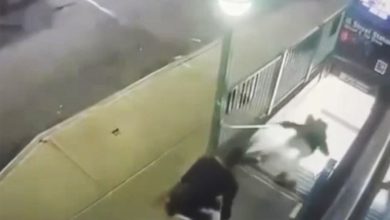 Ex-Broadway dancer who fatally tossed old man down NYC subway stairs claims he ‘freaked out’ during attack: ‘That was it’