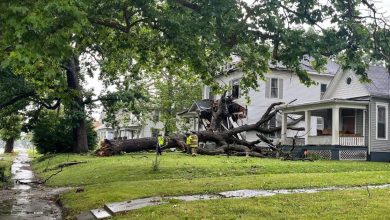 Power outages scattered throughout Central Illinois following strong storms