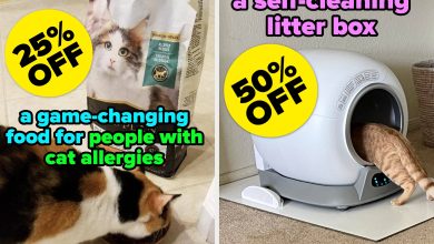 As Someone With Multiple Cats, Here Are The 26 Prime Day Pet Deals I Think Are Worth It