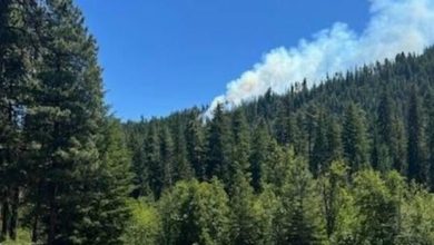Fighter jet crashes in Washington state, sparking wildfire