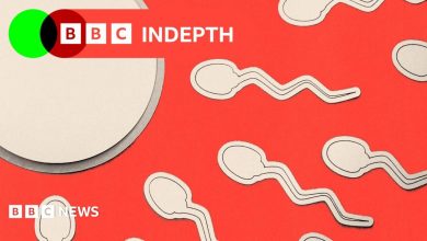 What we miss when we ignore male infertility
