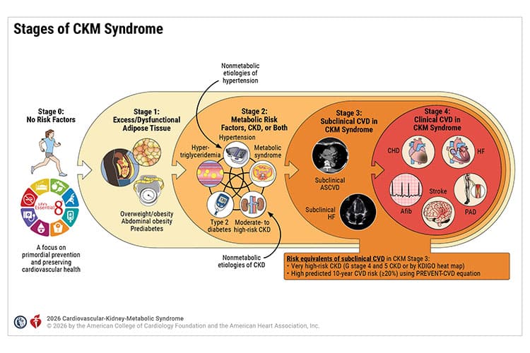 2026 AHA/ACC/ADA/ASN Guideline for the Prevention, Detection, Evaluation, and Management of Cardiovascular-Kidney-Metabolic Syndrome
