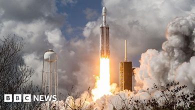SpaceX says it’s worth $1.75tn as it targets largest stock market debut