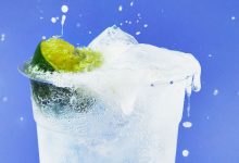What Is the Best Gin? Taste Test Results