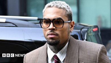 Chris Brown ordered to pay housekeeper $13m after dog attack