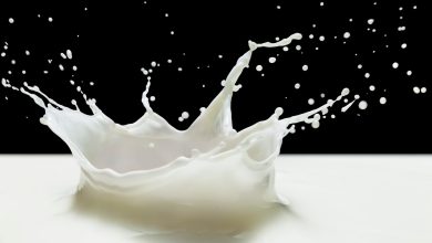 The rise and rise of precision-fermented lactoferrin