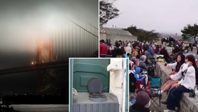 One toilet for every 787 people at Bay Area firework show as fog ruins spectacle