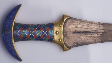 Warrior princesses of ancient Egypt? Skeletons show women used the weapons buried with them