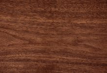 Spend A Lifetime As A Piece Of Lumber To Find Out Which Type Of Wood You Are