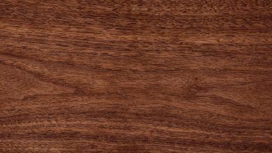 Spend A Lifetime As A Piece Of Lumber To Find Out Which Type Of Wood You Are