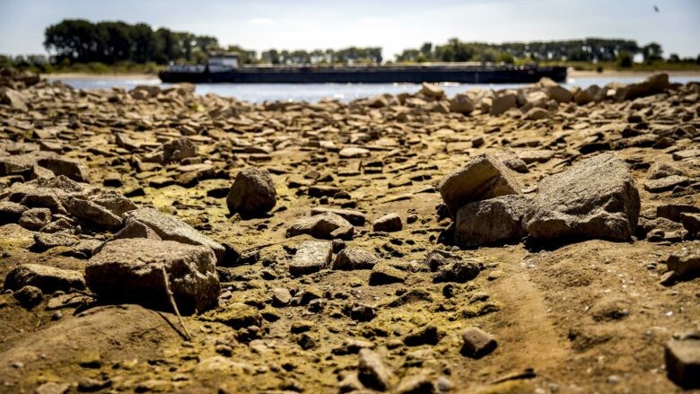 Europe’s Heatwave Is Becoming an Energy Crisis