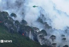 Wildfire still burning across large area as helicopter waterbombs Cairngorms
