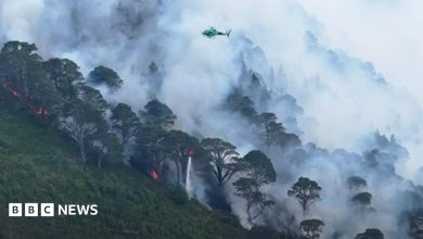Wildfire still burning across large area as helicopter waterbombs Cairngorms