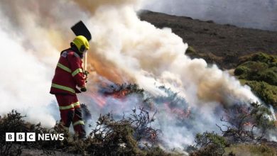 Wildfires burn across UK as fire chiefs warn of extreme pressure