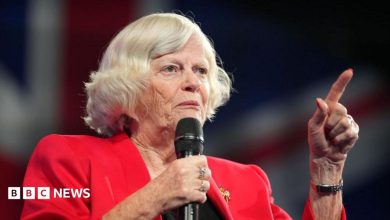 Police continue to question suspect over Ann Widdecombe murder