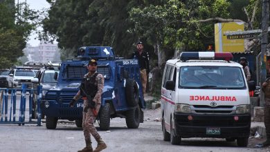 Pakistan says its security forces killed 29 fighters along Afghan border