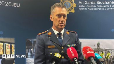 ‘Extremely significant’ bomb in car intercepted on way to NI, Irish police say